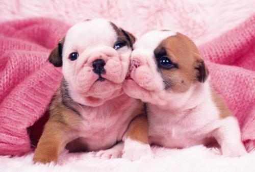 һܲƾ:ծȯͨƿɴ йڿһ