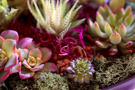 ͨ䲿Сͳ޾Ӫ߲泵ṩ